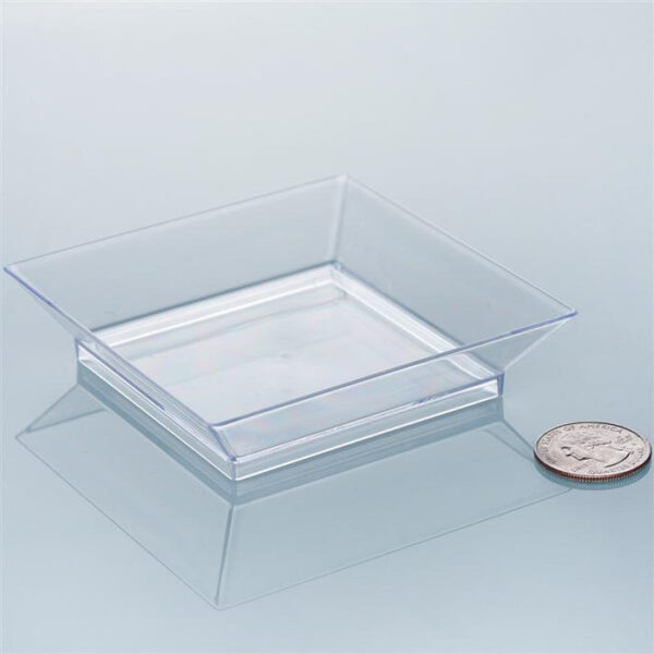 10CT MINI RECTANGULAR DESSERTED DISH-48