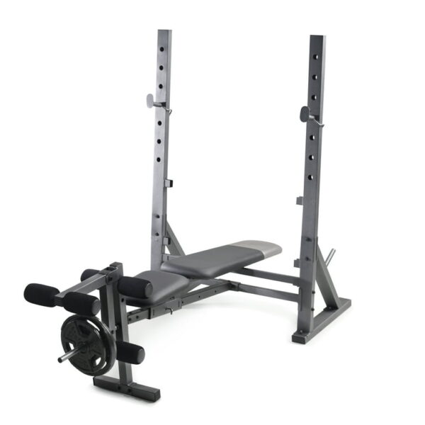Gold's Gym XR 10.1 Olympic Weight Bench with Weight Storage