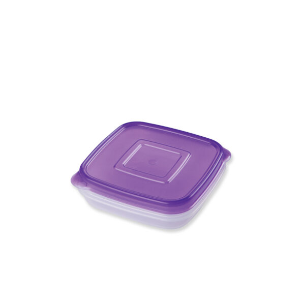 PICA INNOVA SQ FOOD CONT 0.1G PURPLE K 2239 / 2558