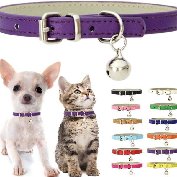Dog Collar- 7"- 3 Assorted Colo