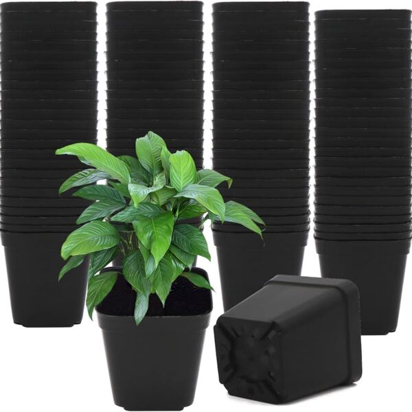 Planter- Medium- 3 Assortments
48524P