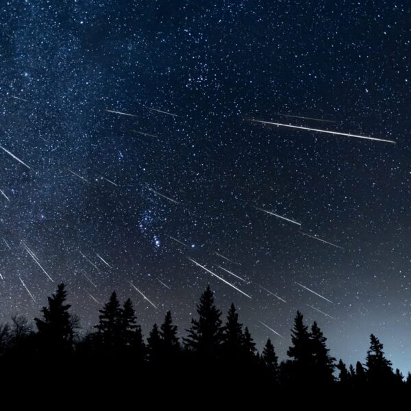 H2234 PLUIE D' ETOILE