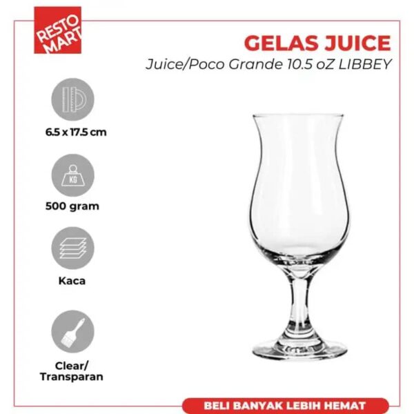 LIBBEY 9.5oz FLAGSHIP CLEAR GAS