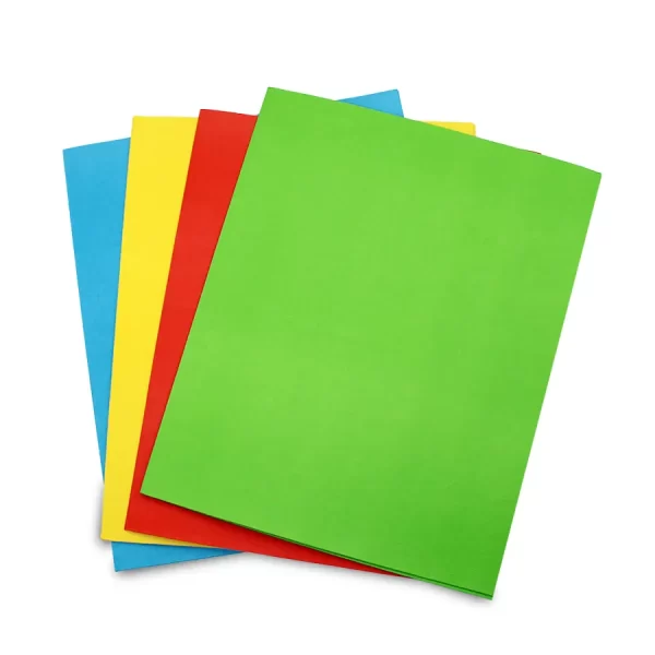 CHECK PLUS PORTFOLIO MATT 9.5 X 11.5 IN 2 POCKET