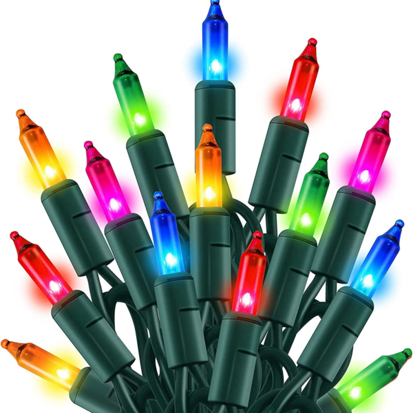 Christmas Lights, 20FT 100