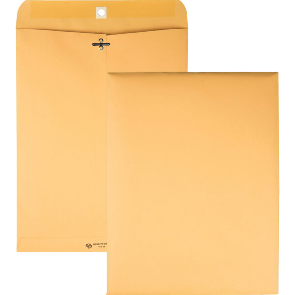 CHECK PLUS ENVELOPES 3CT 10X13IN
Item # 18540