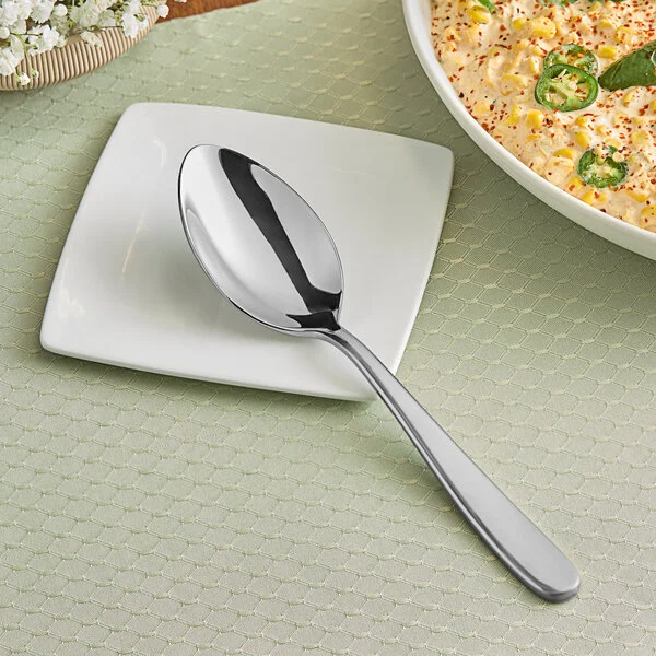 Stainless Steel 9" Serving Spoon